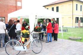 tessera 1369 GRUPPO ELENA 009
